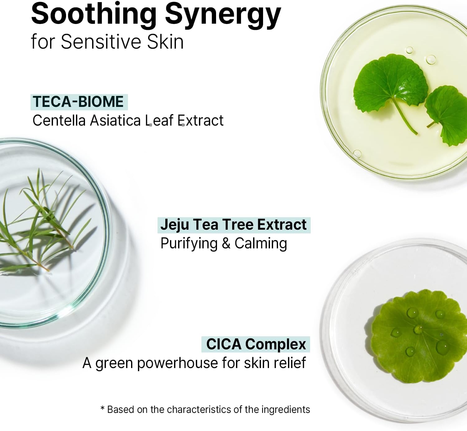 Sérum AVCA Quick Calming Cica Tea Tree 100ml – Niacinamide & Panthénol, Apaisant pour les rougeurs et les peaux sensibles sujettes aux imperfections, Équilibrant le sébum K-Beauty