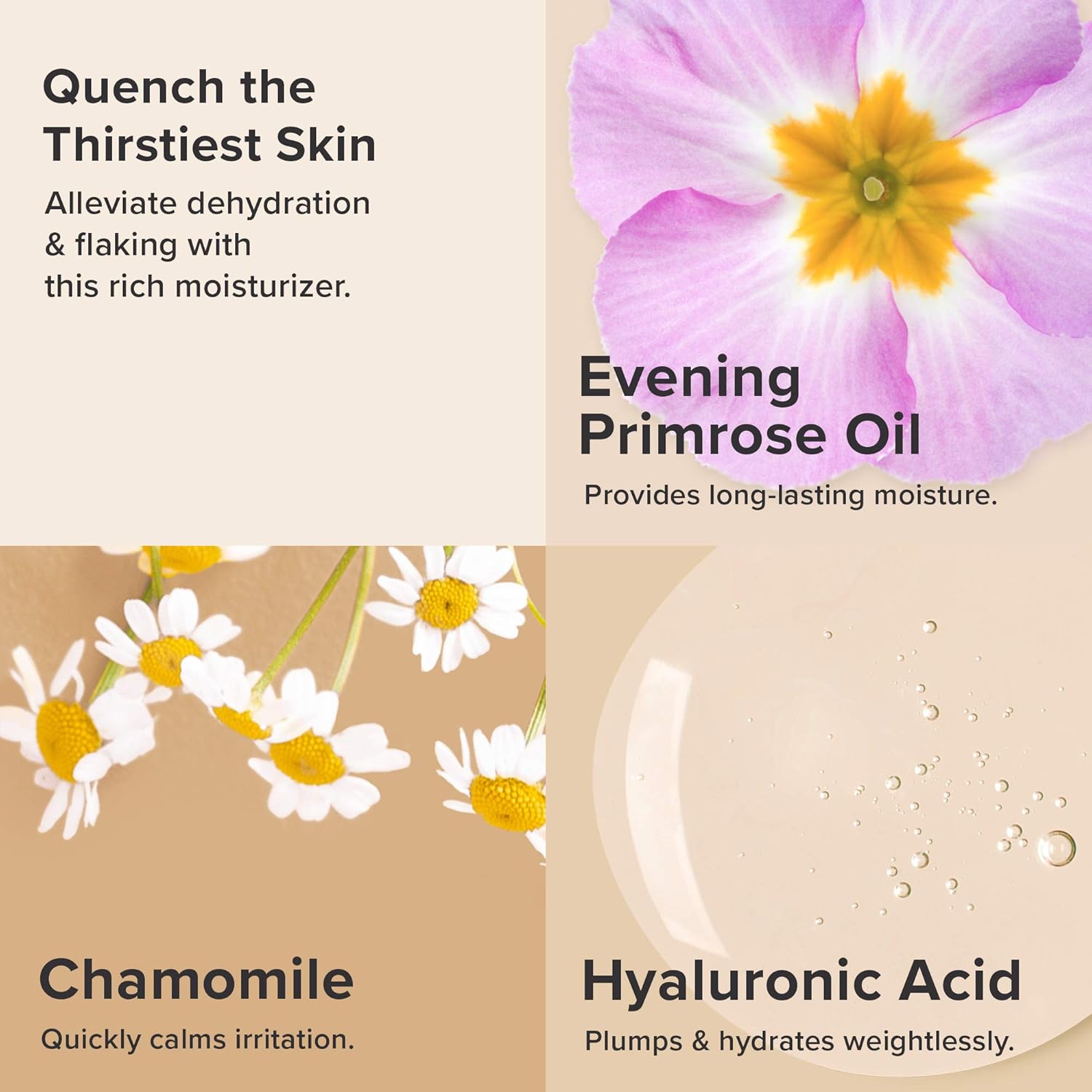 Paula's Choice SKIN RECOVERY Crème hydratante réparatrice pour le visage à l'acide hyaluronique, apaise les rougeurs et les peaux sensibles sujettes à la rosacée et à l'eczéma, sans parfum, 60 ml